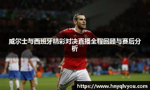 VSport官网入口vsport体育在线官网